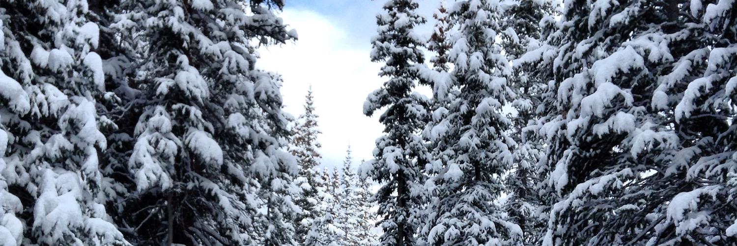 AdammBommb's profile banner image