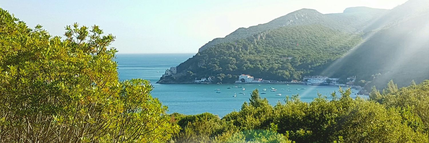mariobalsa's profile banner image