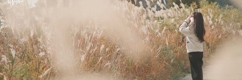 🐰🐈‍⬛ banner