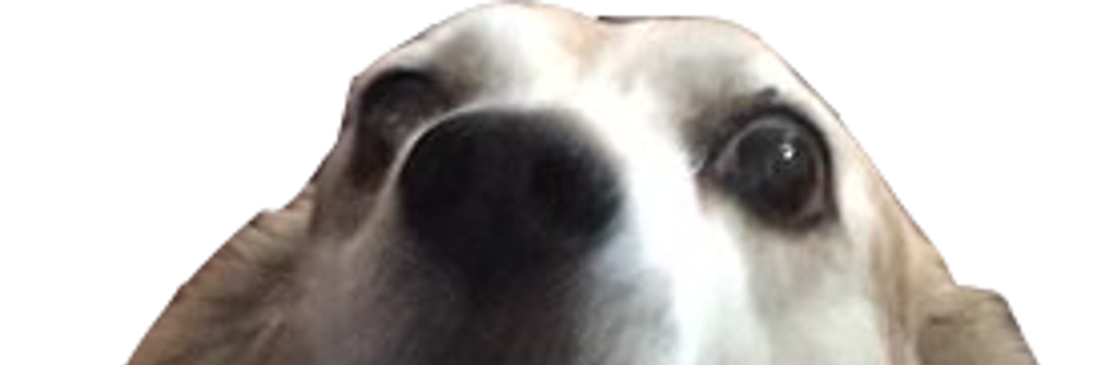 Gamerob banner