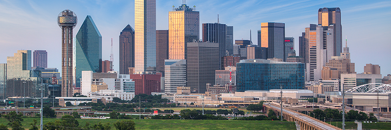 Dallas Climate Action banner