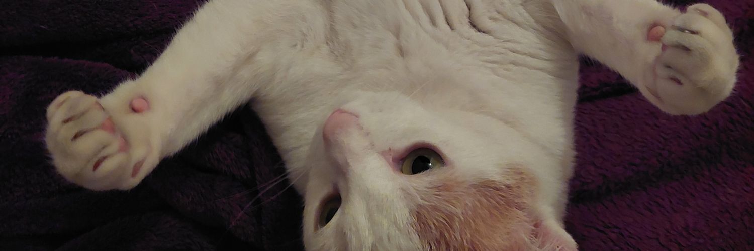 trblrain's profile banner image