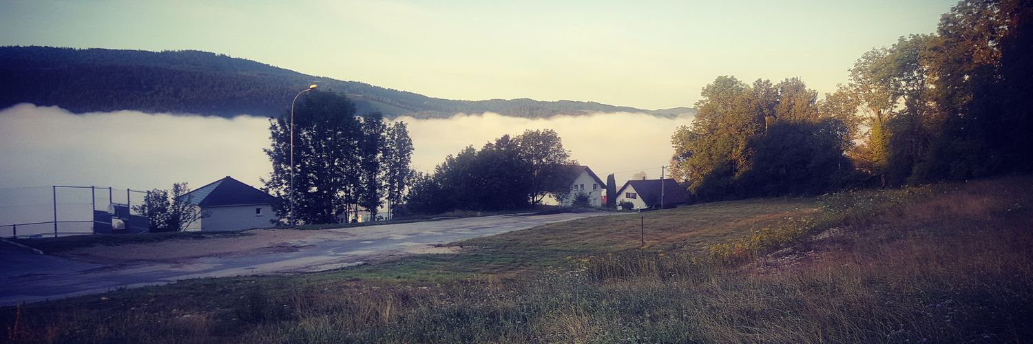 🇨🇵 Papy Insomnie 🇨🇵 banner