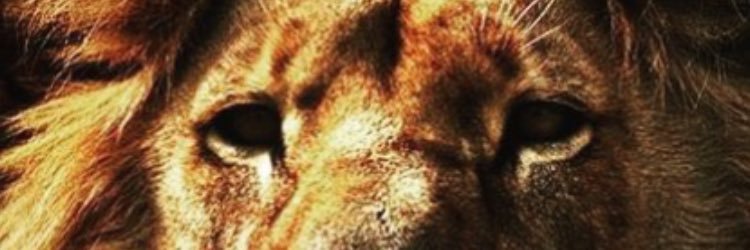 KO12OS's profile banner image