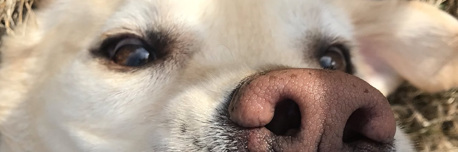 BrettCaps7's profile banner image