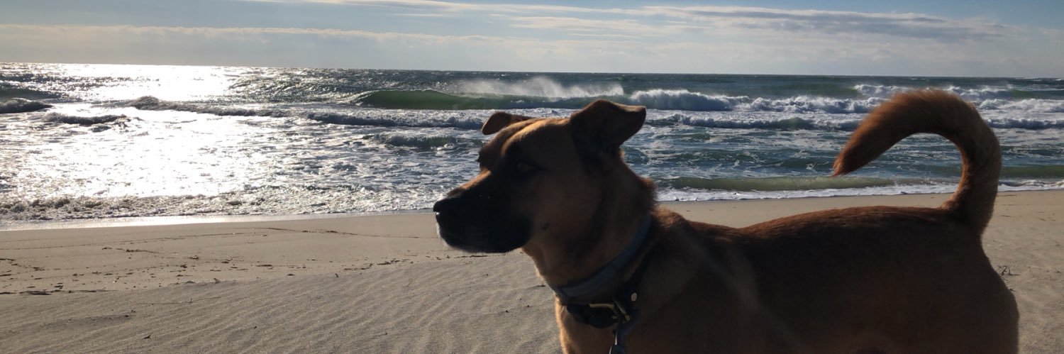 khunger3's profile banner image