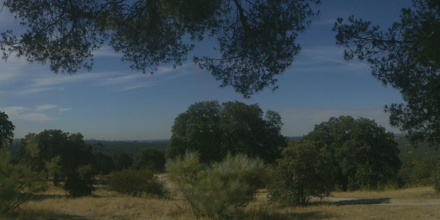 JavierRevillaCh's profile banner image