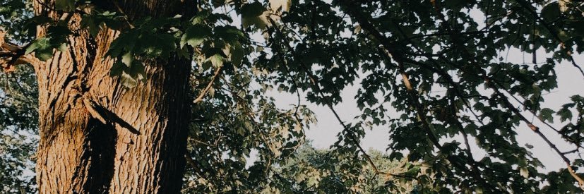 VictoriaJoy12's profile banner image