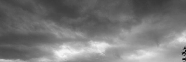 Skelestia's profile banner image