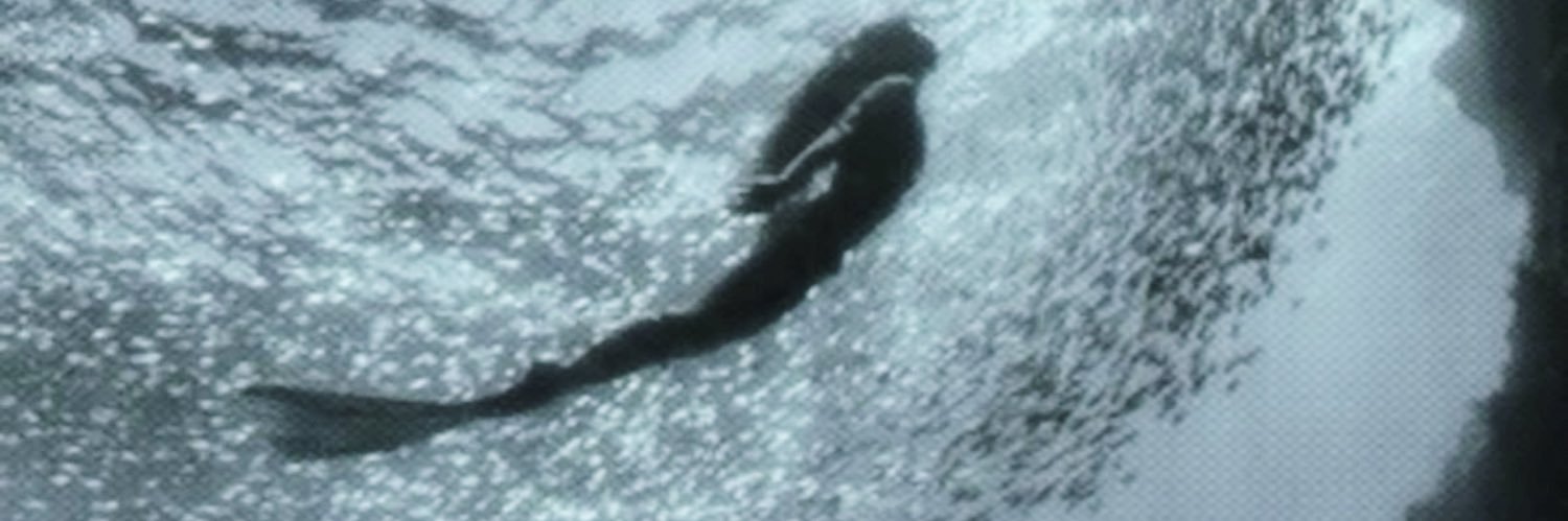 𝐒𝐢𝐫𝐞𝐧𝐚. banner