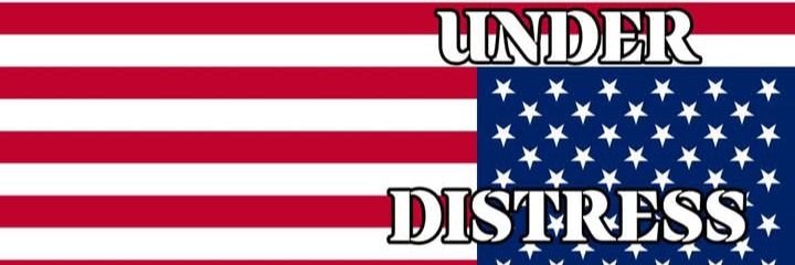 Lisa Lyn Simonson banner