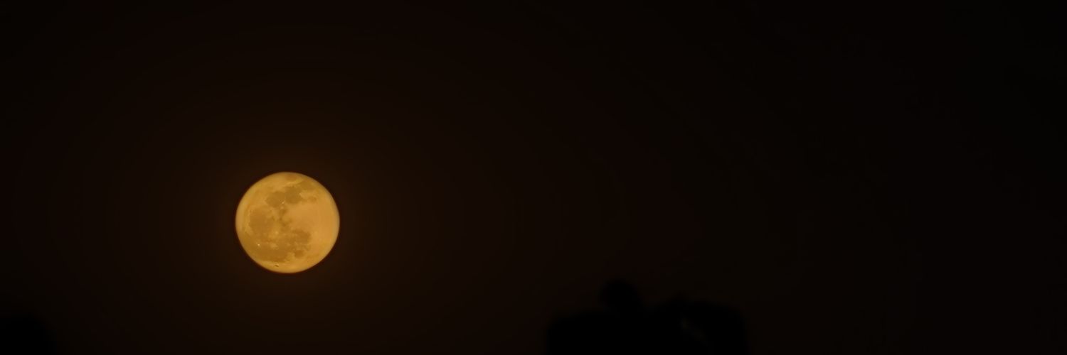 mrkaranarya's profile banner image