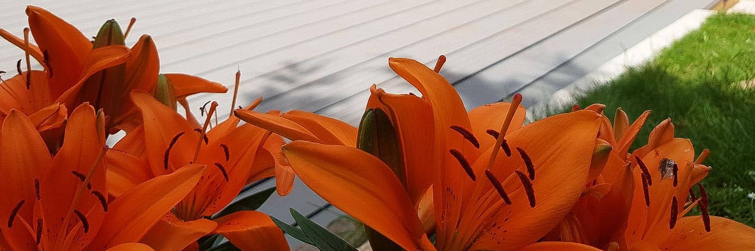 Clippergarden's profile banner image