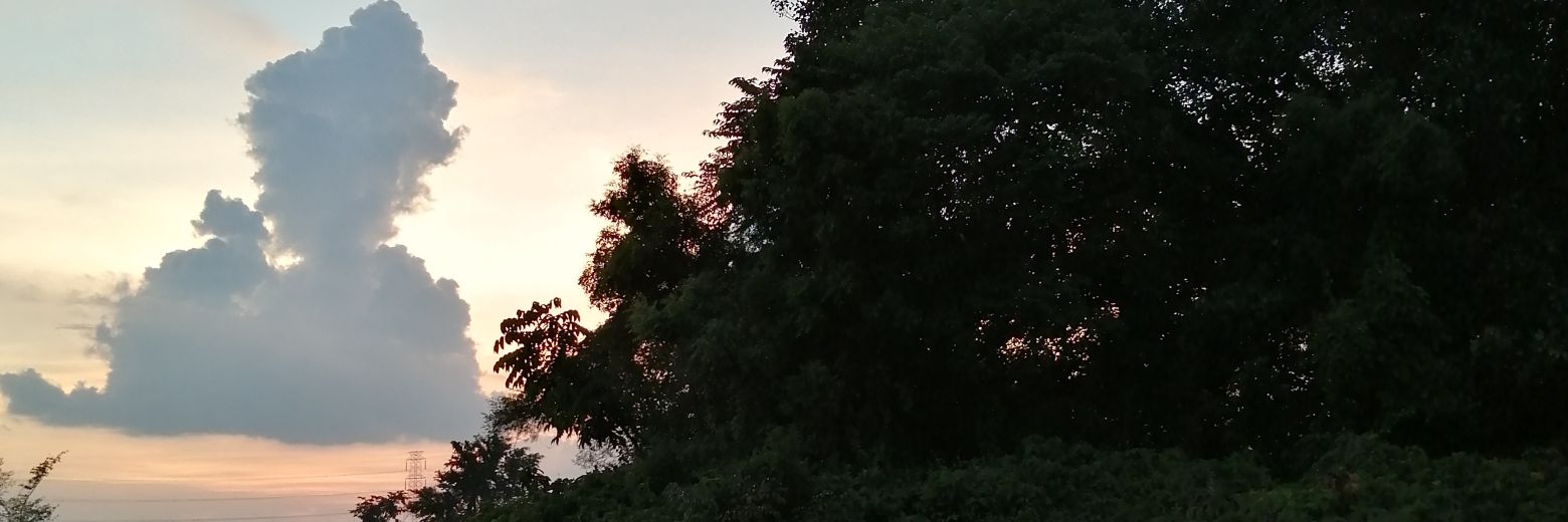 marfat_seikh's profile banner image