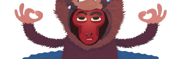 admonkey_pl Profile Banner