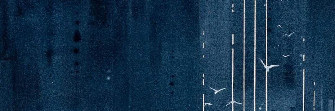 l_adyLov3's profile banner image