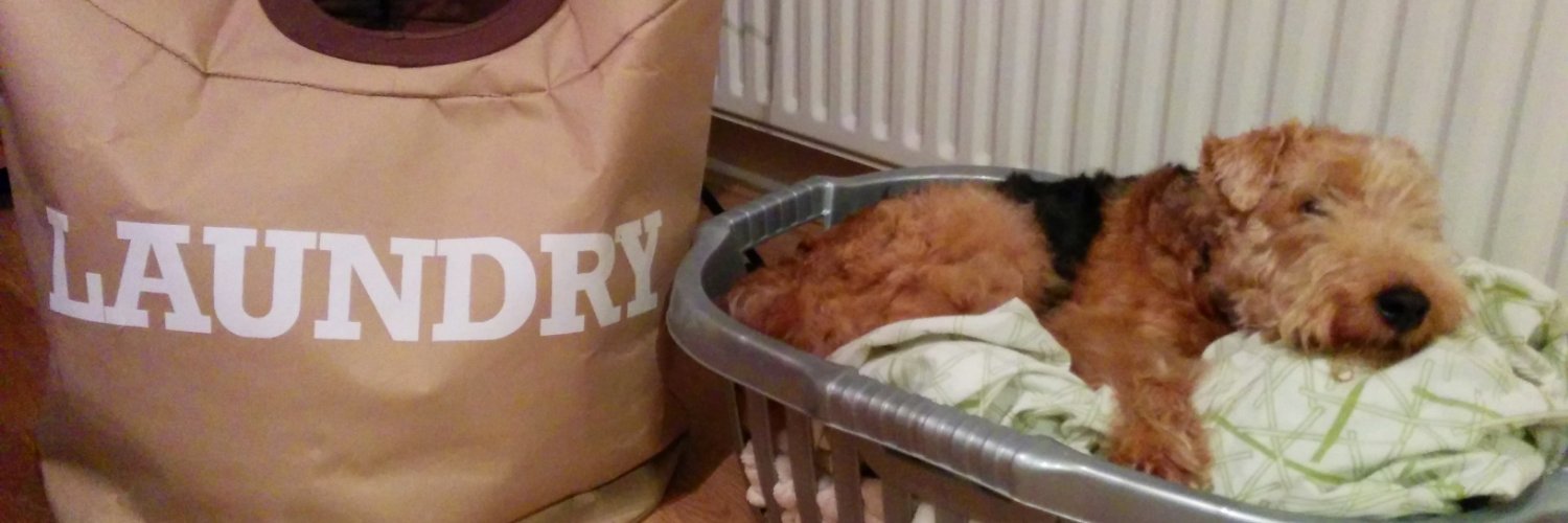 Dr B Ciani - https://mstdn.social/@DrBCiani banner