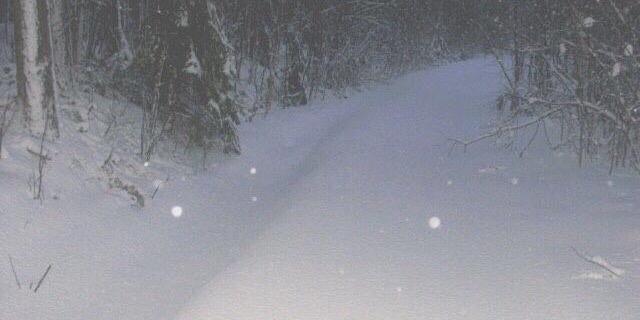emsteapartyPP's profile banner image