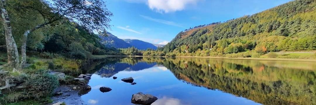 Peter Ovington banner