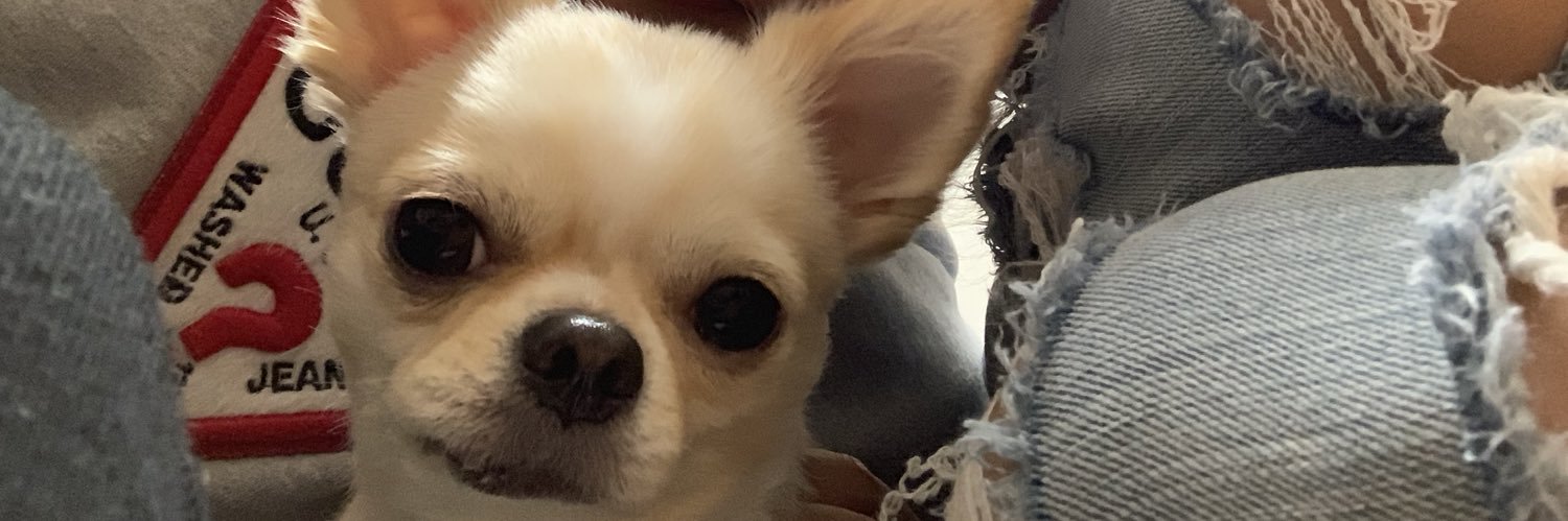 maipui1121's profile banner image