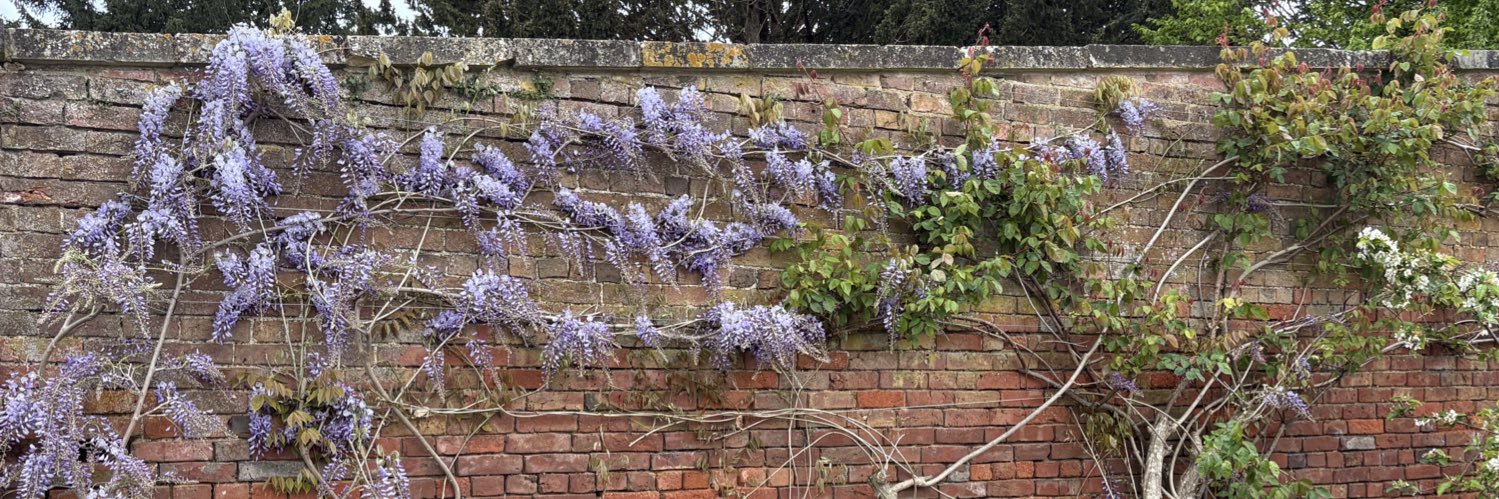 Victoria Richardson banner