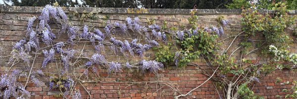 VictoriaEllen18 Profile Banner