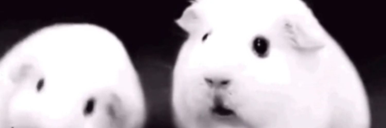 UnirailCollege's profile banner image