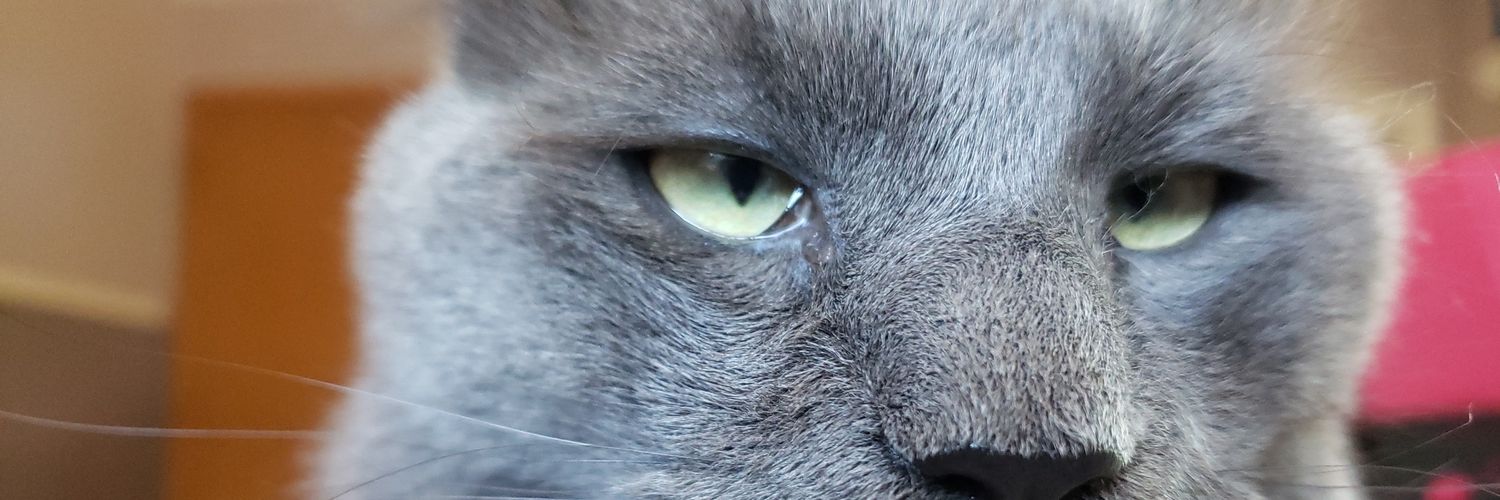 kaiyahagen's profile banner image