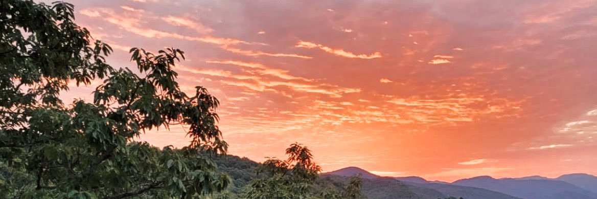 Zayne Hatfield banner