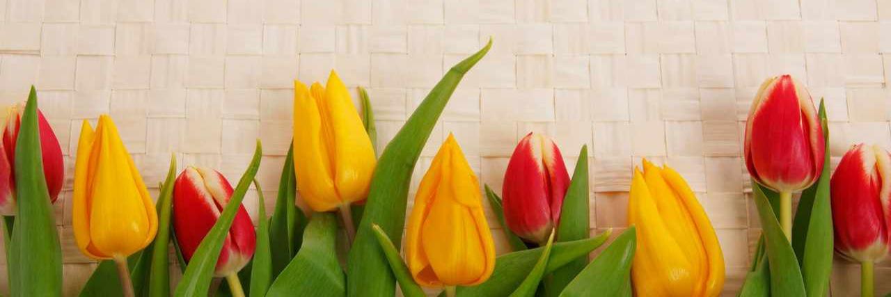 cikk_eyza's profile banner image