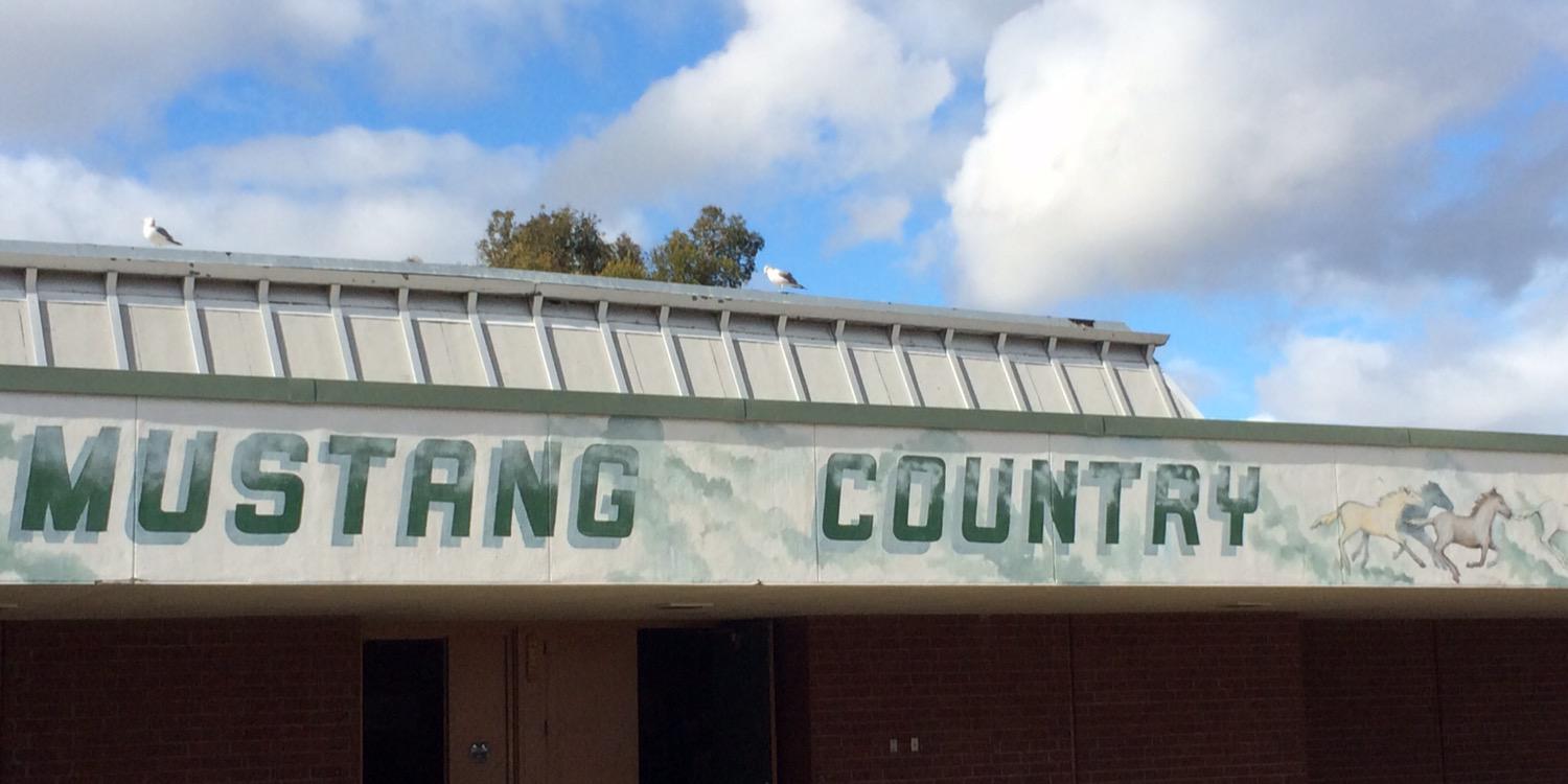 phmustangs's profile banner image