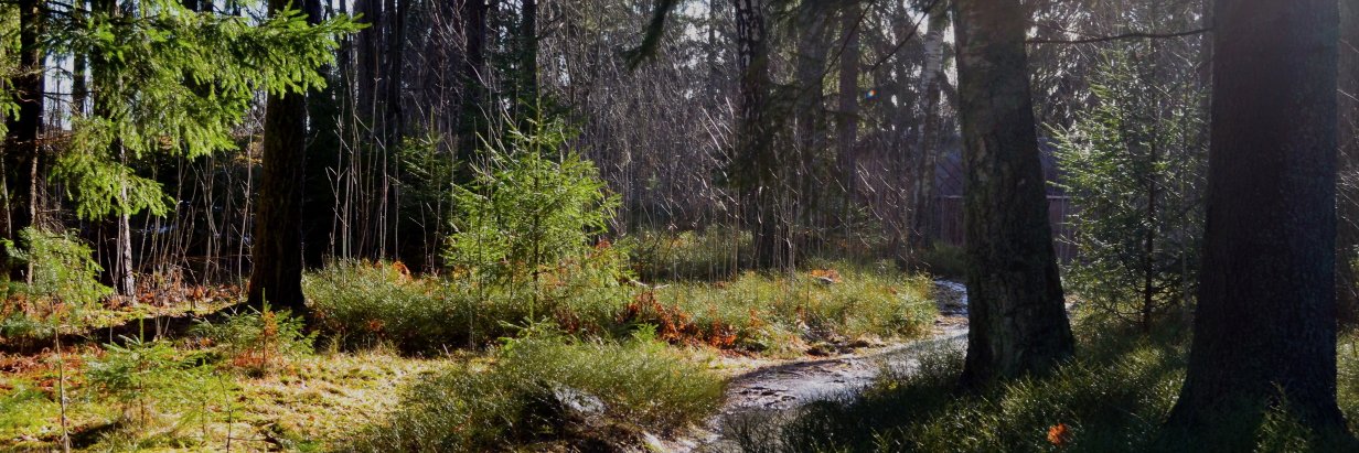 Saara Huhmarniemi banner