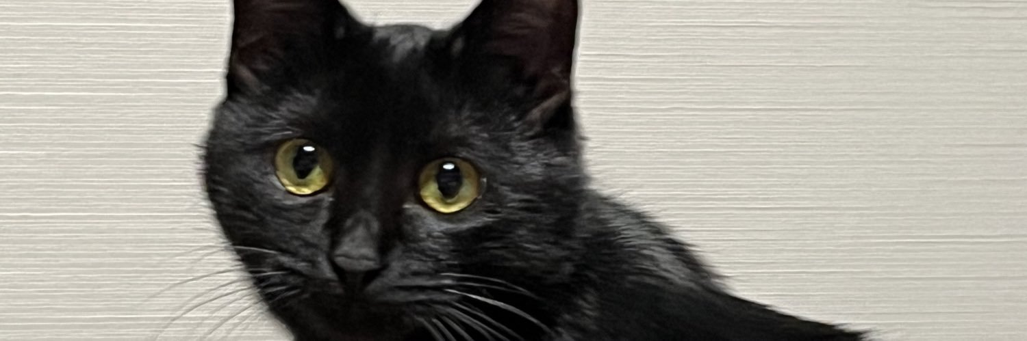 mr19ak's profile banner image