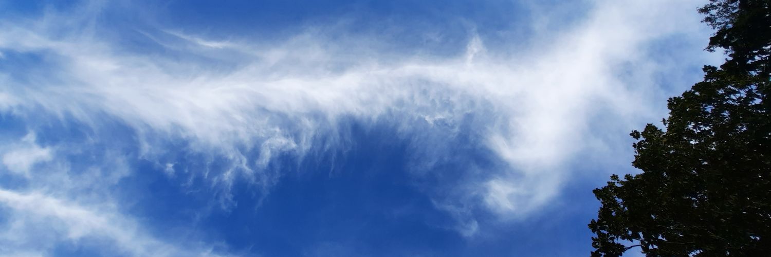 the_sufferin's profile banner image