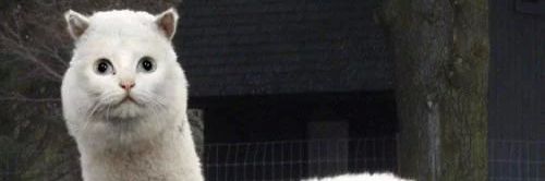 _ekuL_____'s profile banner image