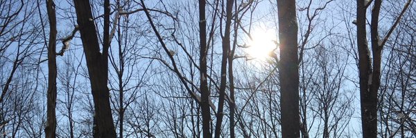 allisonwannop Profile Banner