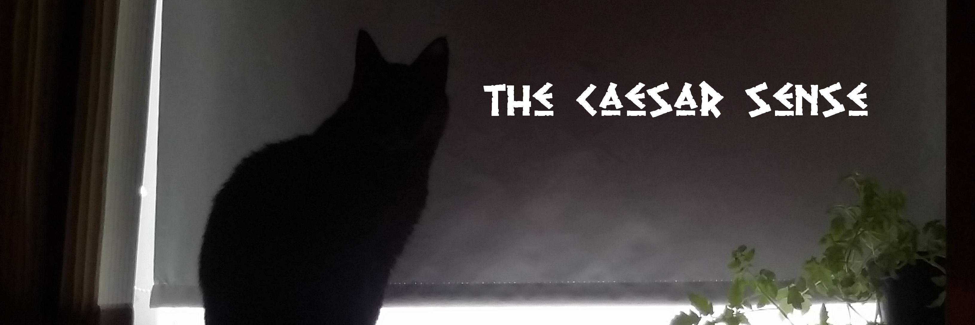 The Caesar Sense's banner