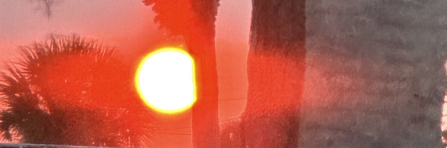 V_Baugh's profile banner image