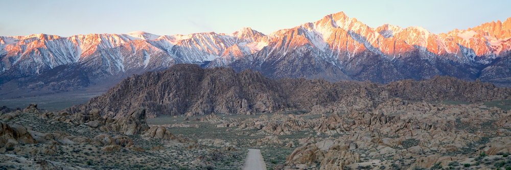 Andy Anderson banner
