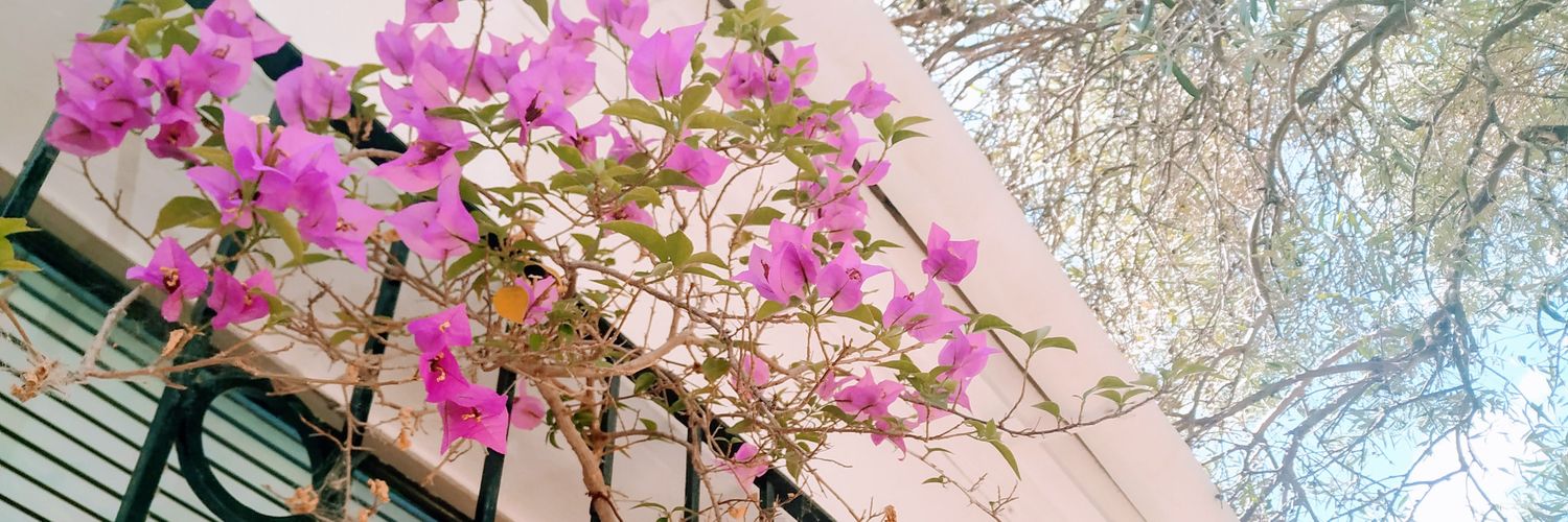 María 🔻🌻 banner