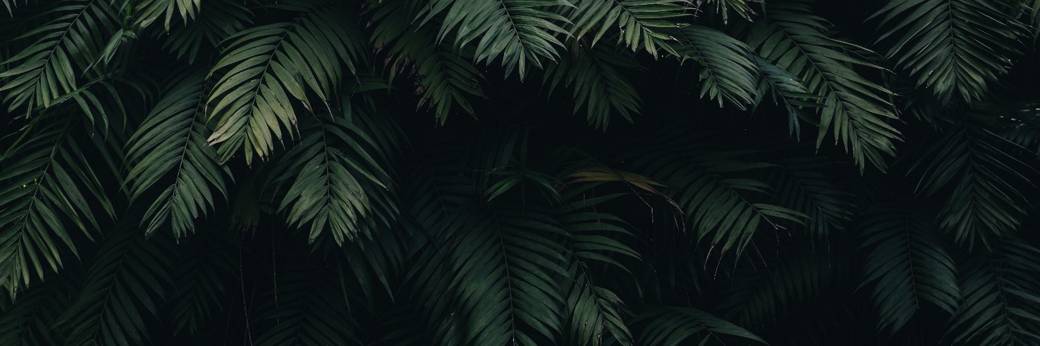 bolds88's profile banner image
