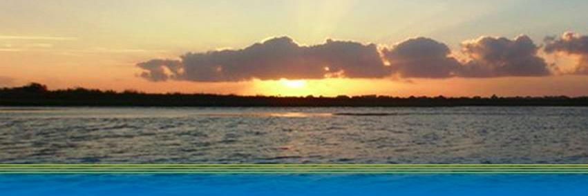 LoneStar_Fish's profile banner image