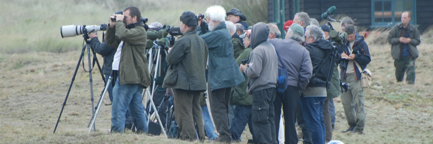 in_titch's profile banner image