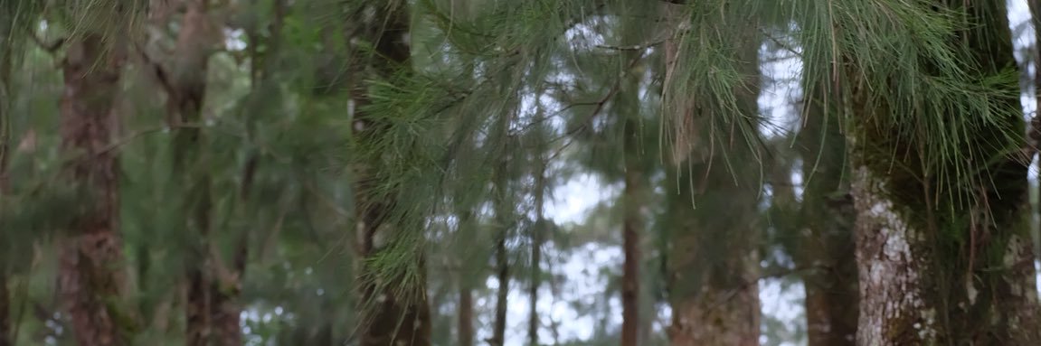 edfrnce's profile banner image
