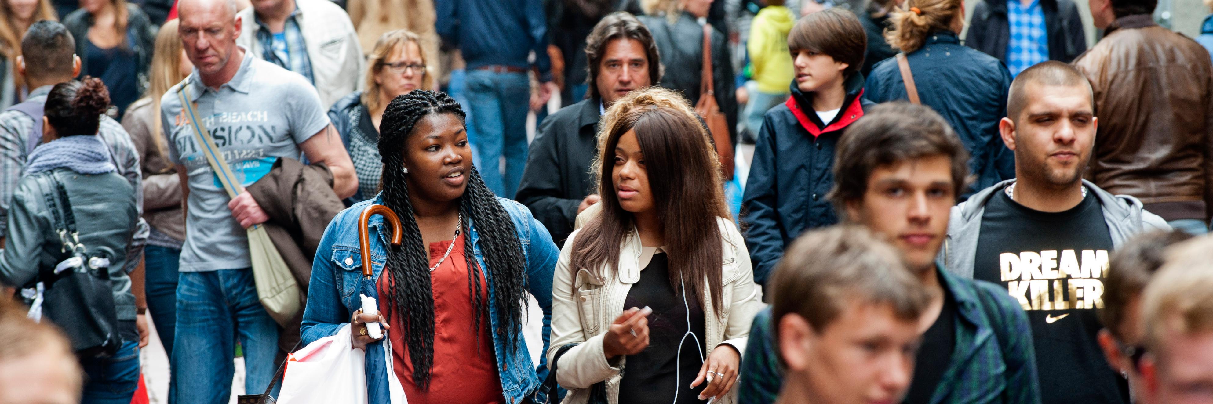 Kennisplatform KIS banner