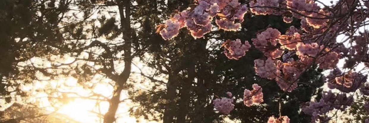 Schundela's profile banner image