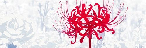 _msmoondust_'s profile banner image