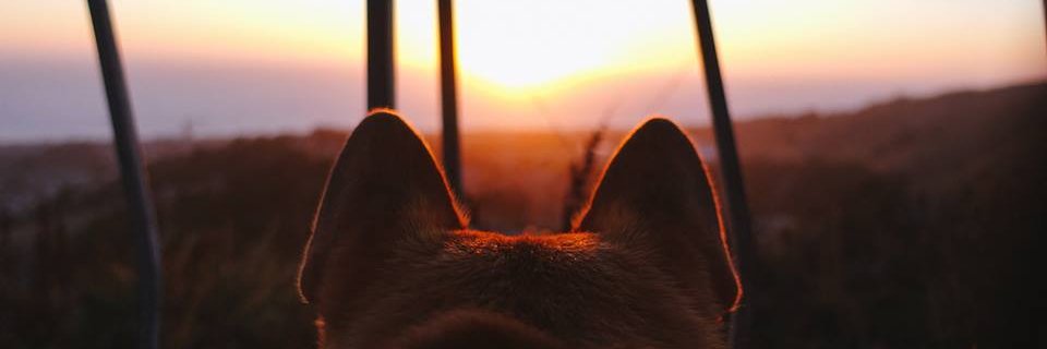 moogs_tv's profile banner image