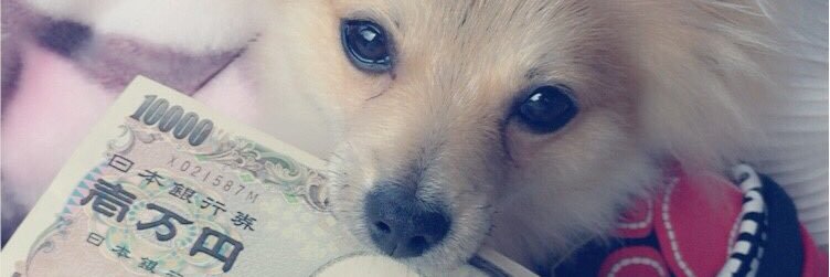 mifu731's profile banner image