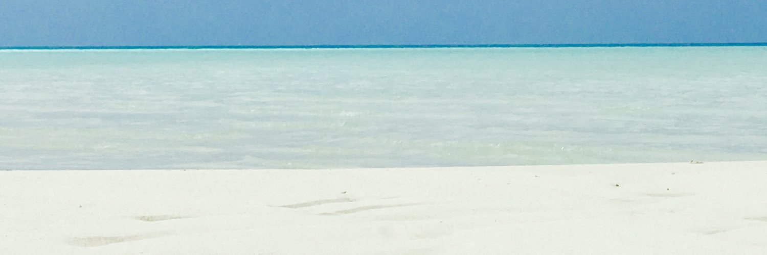 michelemolon1's profile banner image